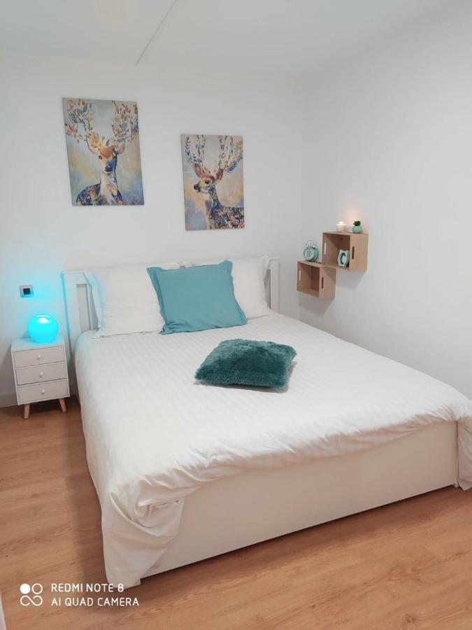 Appartement Rez De Chaussee 2 Chambres Avec Terrasse Камбо-ле-Бен Екстериор снимка